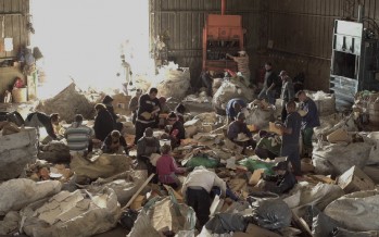 Se estrenó un documental sobre la cooperativa Bella Flor que recicla la basura del Ceamse
