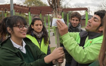 San Fernando: alumnos de la Escuela San Pablo forestaron y concientizaron en el Día del Árbol