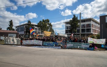 Protesta frente a las oficinas de Eidico en defensa de los humedales