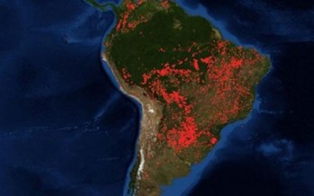 Ojea sobre el Amazonas: «Hay que pensar lo que estamos haciendo con el planeta»