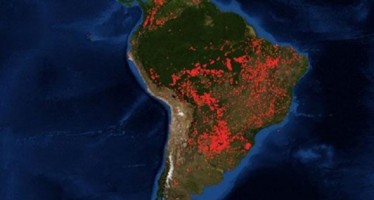 Ojea sobre el Amazonas: «Hay que pensar lo que estamos haciendo con el planeta»
