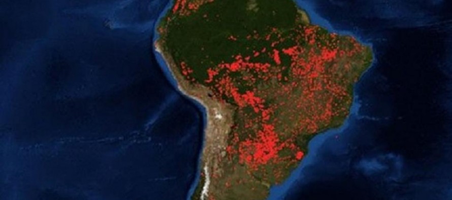 Ojea sobre el Amazonas: «Hay que pensar lo que estamos haciendo con el planeta»