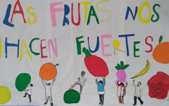La escuela de La Barquita del delta sanfernandino participa de un concurso saludable