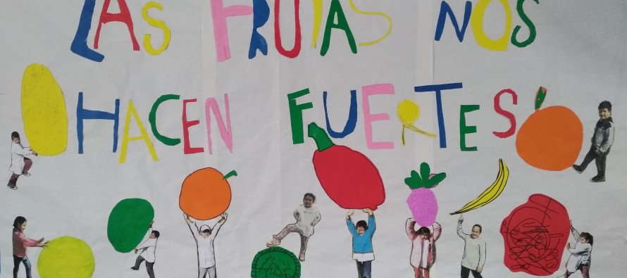 La escuela de La Barquita del delta sanfernandino participa de un concurso saludable
