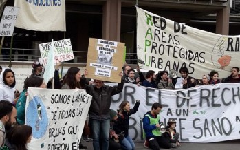 Organizaciones ambientales le reclamaron al OPDS que defienda el medio ambiente