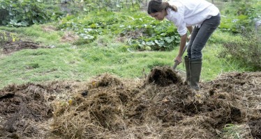 Compost: todo lo que tenés que saber para lograr tu propio abono orgánico