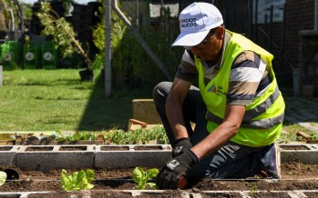 Una dependencia del Municipio de San Fernando tiene su propia huerta orgánica natural