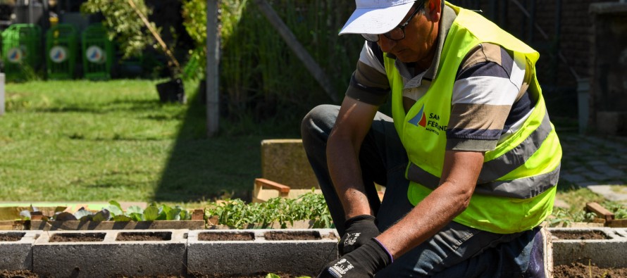 Una dependencia del Municipio de San Fernando tiene su propia huerta orgánica natural