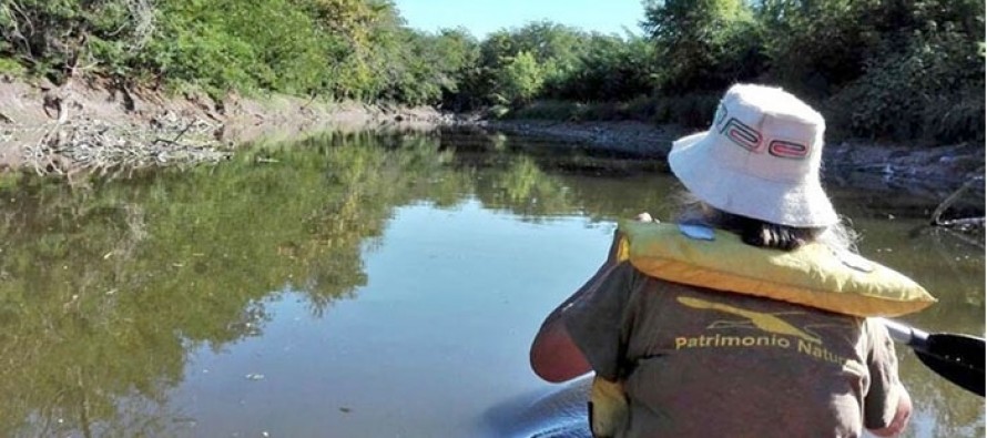 El río Luján entre la contaminación y el relleno de humedales