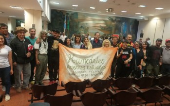Tigre: Aprobaron ordenanzas vinculadas a la defensa de los humedales