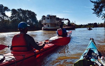 Tres días a puro kayak por la Reserva de Biósfera del Delta
