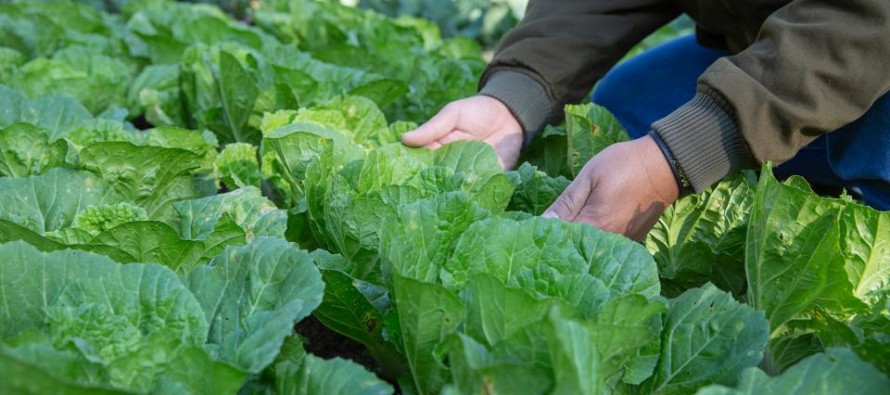 La Agroecología como política de salud pública