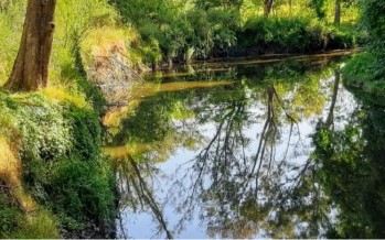 Maschwitz: declaran reserva natural a 23 hectáreas de una histórica estancia