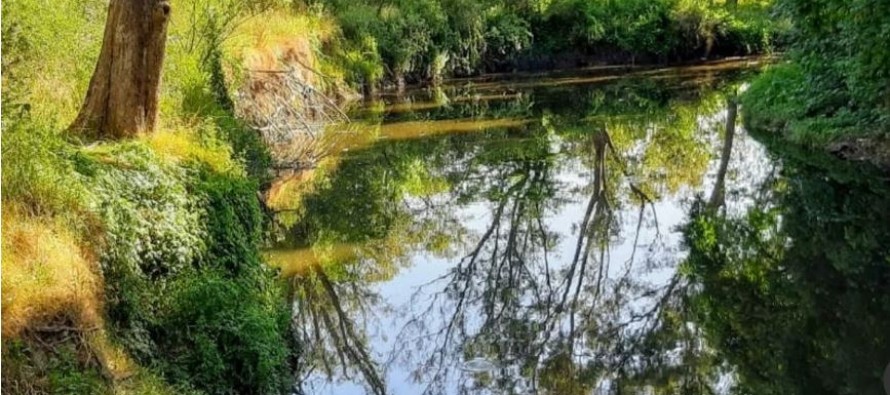 Maschwitz: declaran reserva natural a 23 hectáreas de una histórica estancia