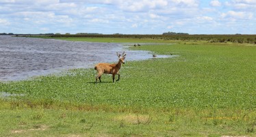 Turismo de cercanía: destinos imperdibles en la zona norte