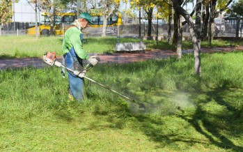 San Fernando: el Municipio realiza operativos de mantenimiento de los espacios verdes