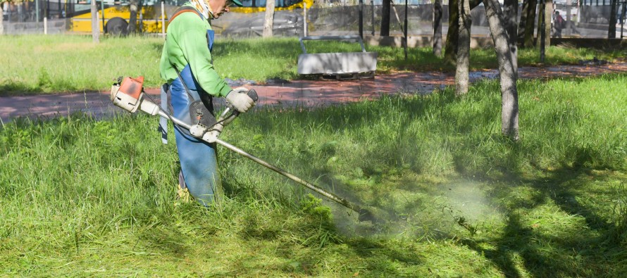 San Fernando: el Municipio realiza operativos de mantenimiento de los espacios verdes