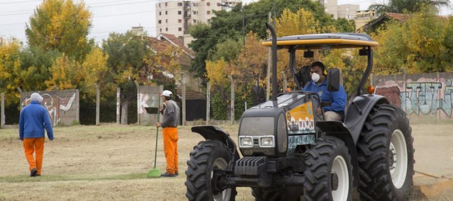 Dengue: operativo de limpieza en Beccar