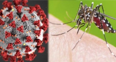 Que el virus no te tape al mosquito