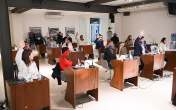 El Concejo Deliberante de San Fernando aprobó la creación de una reserva ecológica educativa