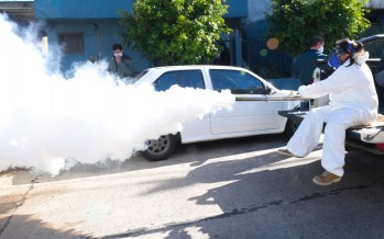 La Provincia estableció pautas de acción frente al aumento de mosquitos