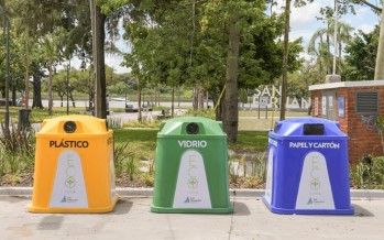 EcoSanfer: consejos ambientales, entrega de semillas, separación de residuos y puntos de acopio
