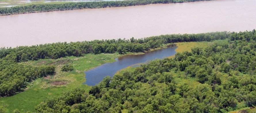 Reactivan plan para la conservación y el aprovechamiento sostenible del Delta del Paraná