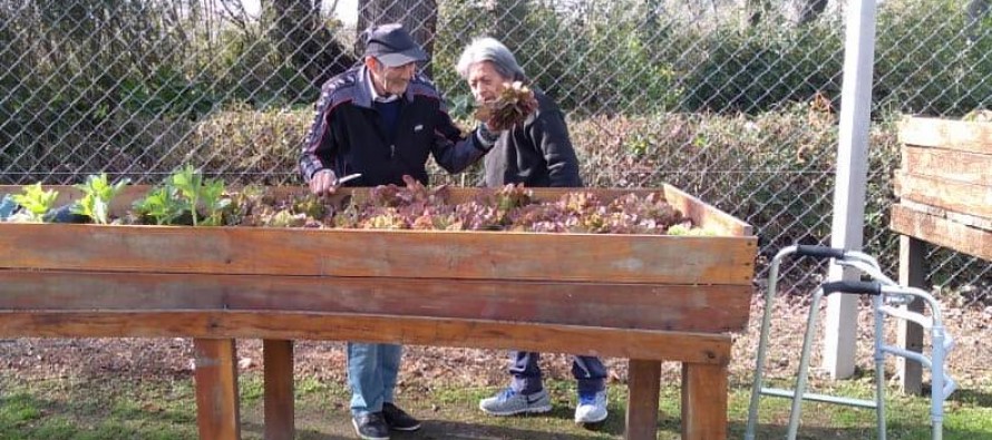 San Fernando: Una huerta para adultos mayores en el Hospital Municipal de Islas “Do Porto”
