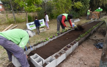 San Fernando tiene su primera huerta orgánica comunitaria