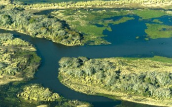 Delta del Paraná: avances para crear un área natural protegida en la zona