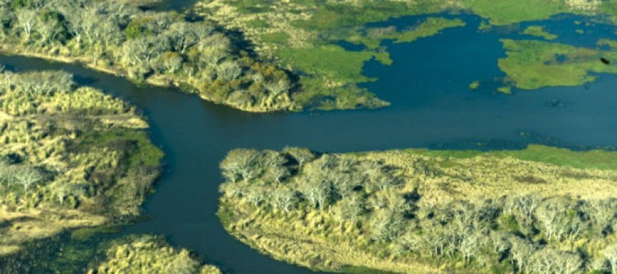 Delta del Paraná: avances para crear un área natural protegida en la zona