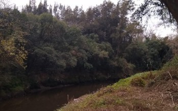 Escobar Sostenible: capacitaciones y nuevo relevamiento de recursos naturales en la Reserva de Ingeniero Maschwitz