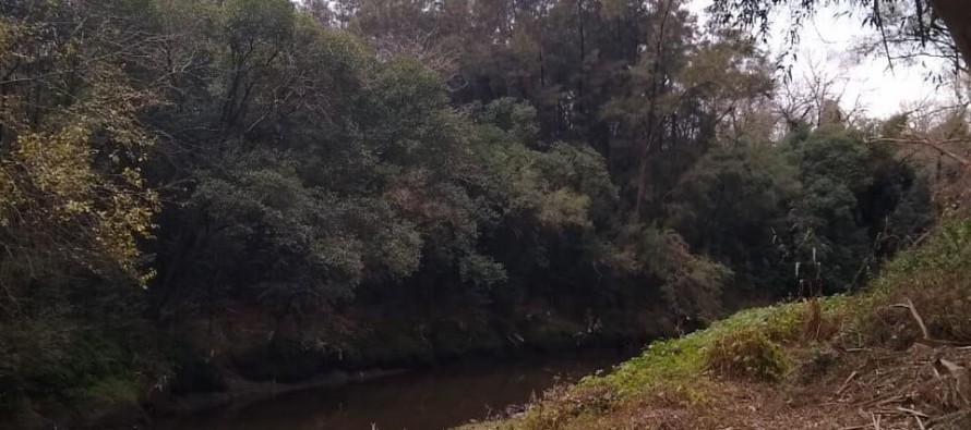 Escobar Sostenible: capacitaciones y nuevo relevamiento de recursos naturales en la Reserva de Ingeniero Maschwitz