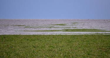El INTA inició el mapeo de la distribución y usos de humedales