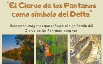 Proyecto Pantano lanza un concurso fotográfico para estudiantes del Delta