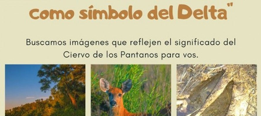 Proyecto Pantano lanza un concurso fotográfico para estudiantes del Delta
