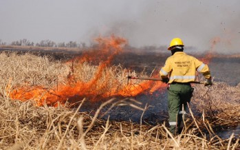 Cabandié celebró el fallo de la Corte sobre el Delta: “El camino es el desarrollo sostenible»