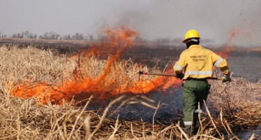 Cabandié celebró el fallo de la Corte sobre el Delta: “El camino es el desarrollo sostenible»