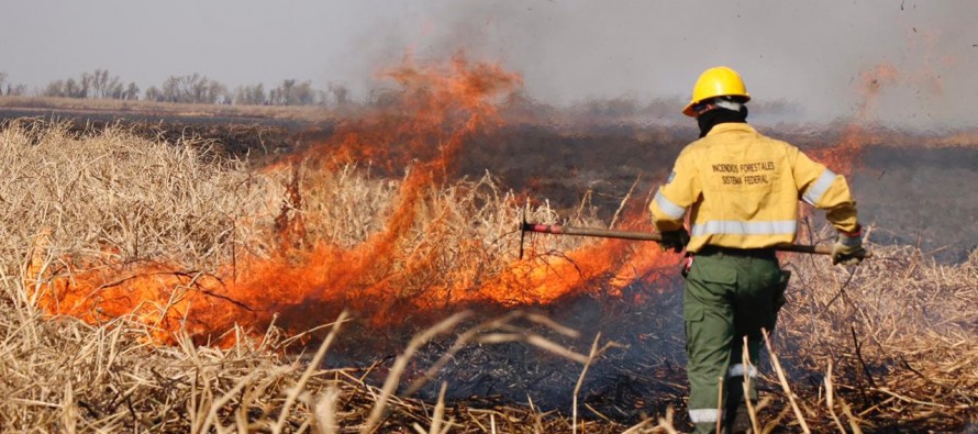 Cabandié celebró el fallo de la Corte sobre el Delta: “El camino es el desarrollo sostenible»