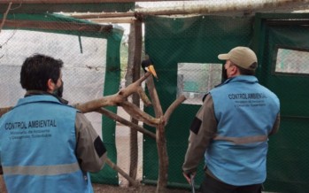 Ambiente decidió que el zoológico de Luján se mantendrá cerrado