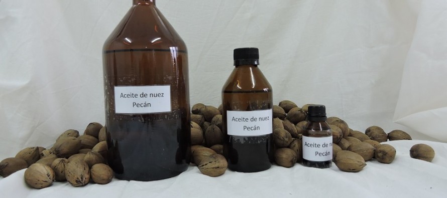 Evalúan la calidad del aceite de nuez pecán