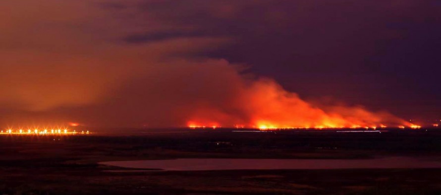 Incendios en el Delta: la Defensoría del Pueblo sostiene la necesidad de una gestión interjurisdiccional