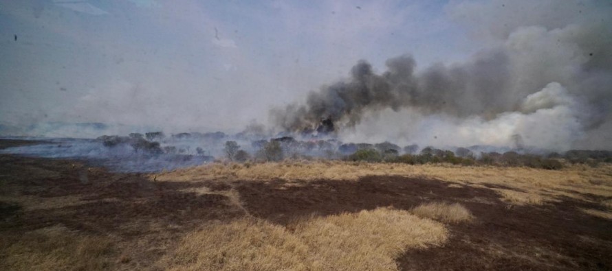 Se reunió nuevamente el Comité de Emergencia Ambiental por los incendios en el delta del Paraná