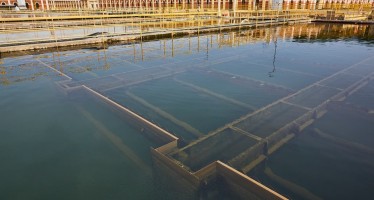 Ante el cambio de «olor» y «sabor» del agua, AySA informó que está garantizada la potabilidad del servicio