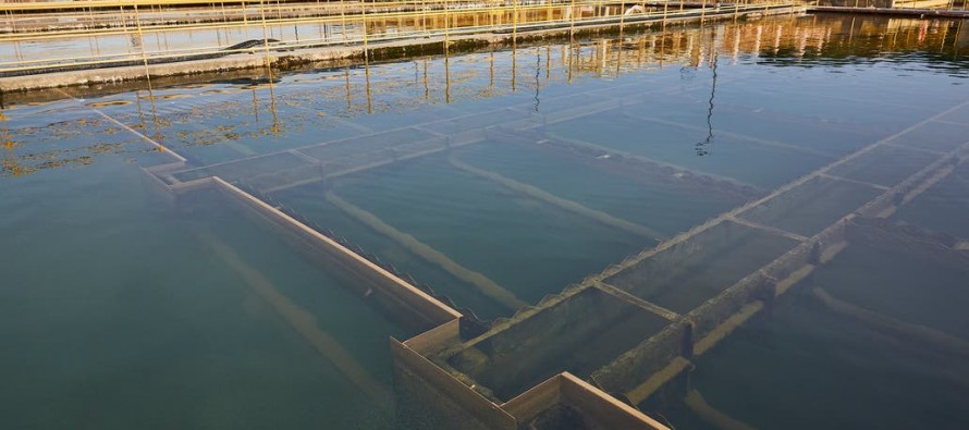 Ante el cambio de «olor» y «sabor» del agua, AySA informó que está garantizada la potabilidad del servicio
