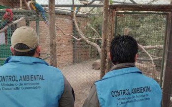 Ambiente ratifica el cierre del zoológico de Luján y avanza en su clausura total