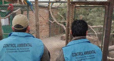 Ambiente ratifica el cierre del zoológico de Luján y avanza en su clausura total