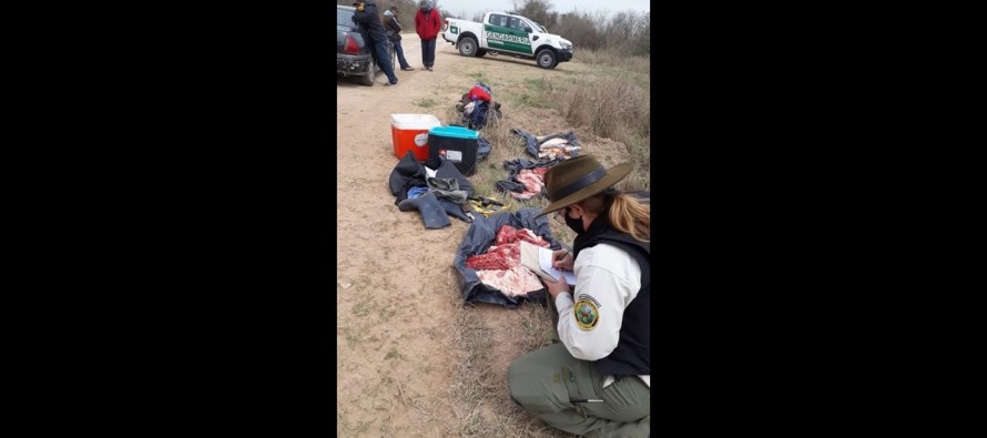 Operativos de control de caza furtiva en el Parque Nacional Ciervo de los Pantanos