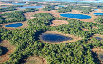 Aseguran que la mayor causa de pérdida de humedales es la intervención humana