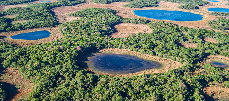 Aseguran que la mayor causa de pérdida de humedales es la intervención humana